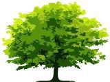 S & S Tree Services Logo