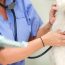 Abbeyside Veterinary Hospital