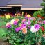 Grange Landscaping