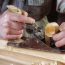 NORD Carpentry Building Services