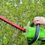 O Mahony Tree Specialists