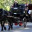 Sean Kilkenny Vintage Carriages
