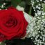 How to choose the right florist