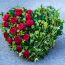 Ashbrook Funeral Services