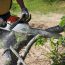 Professional Kilkenny Tree Services – Greenland Tree Services