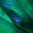 Holistic Therapy Treatments for All Ages- Patricia O’Keeffe