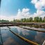Anua Gaffney Environmental