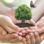 Mulhern & Co.: Navigating Your Financial Future with Confidence
