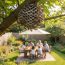 Wasps On a tree with people in the garden