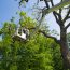 Fergal Colbert Tree Care