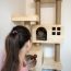 Irish Rosettes Pet Shop