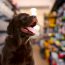 Irish Rosettes Pet Shop